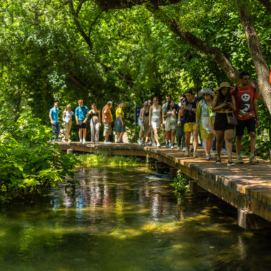 Tourists strolling on a picturesque wooden path during their Krka Waterfalls exploration
